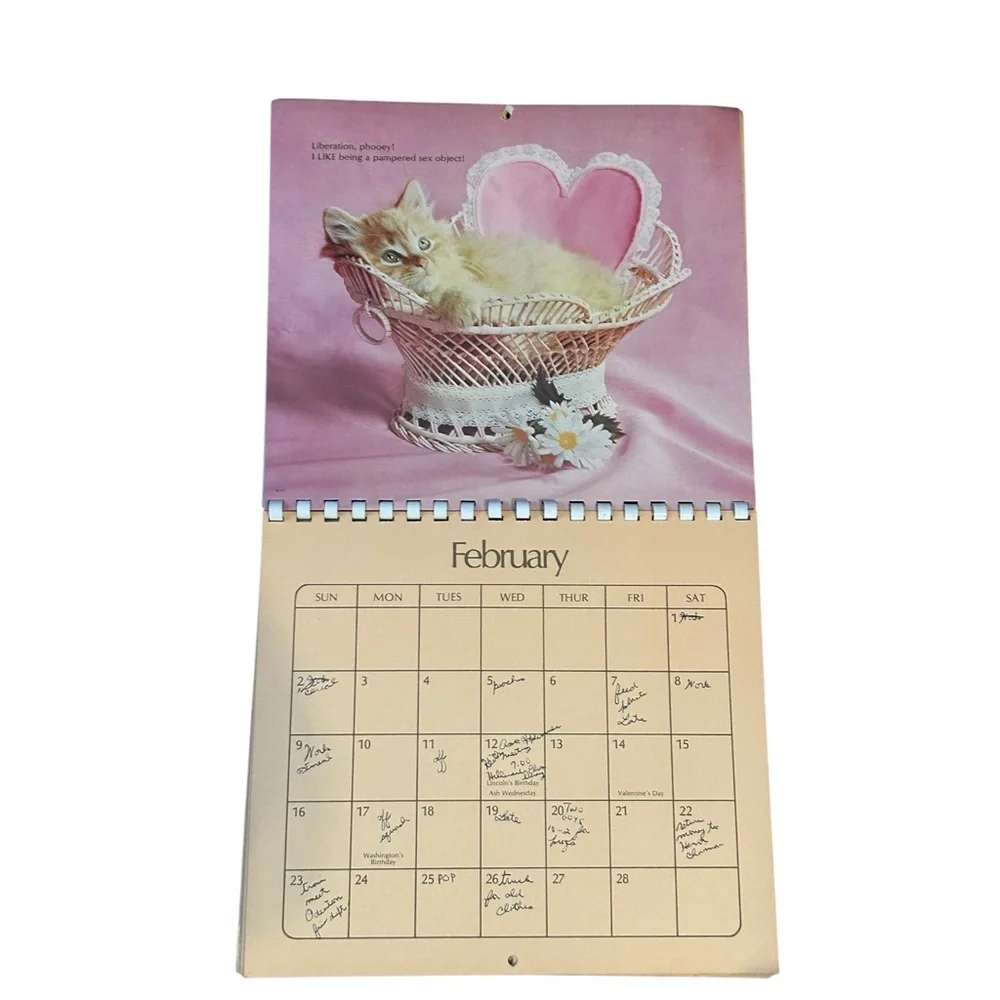 VTG 1975 American Greetings Cat Kitten Memo Calendar Colorful Photos Spiral RARE